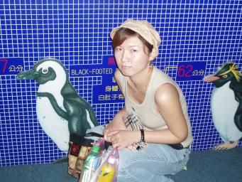 我想要一隻penguin麻