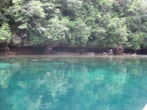 漂亮的海水