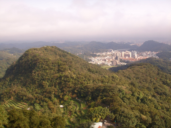 鳥瞰一景