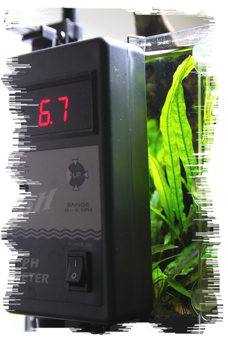 水草缸的co2供應量 一位剛接觸水草缸的玩家 痞客邦 水草缸的co2供應量 一位剛接觸水草缸的玩家 痞客邦
