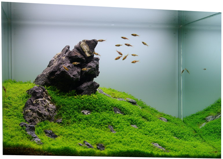 cubiwa-2.jpg cubiwa-2.jpg