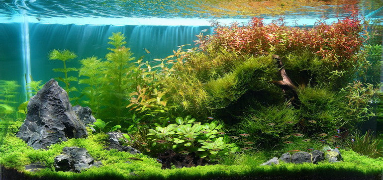 770IFTT全景圖ok.jpg 770IFTT全景圖ok.jpg
