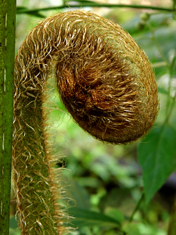 DSCI0559_1.jpg DSCI0559_1.jpg