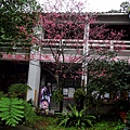 DSCI3843_1.jpg