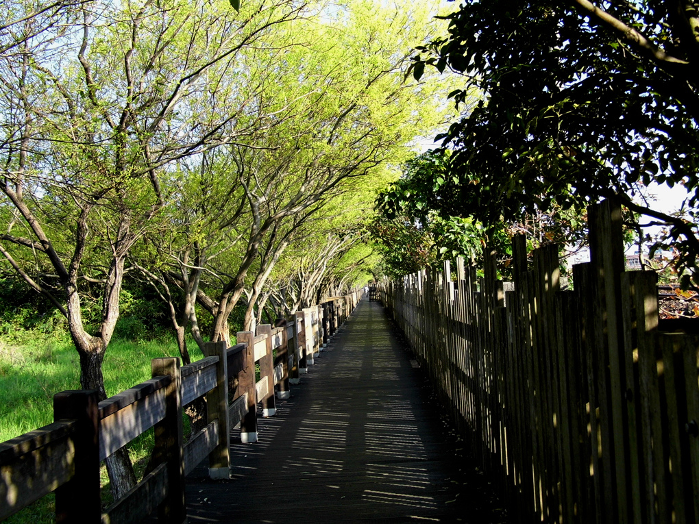 DSCI2986_1.jpg DSCI2986_1.jpg
