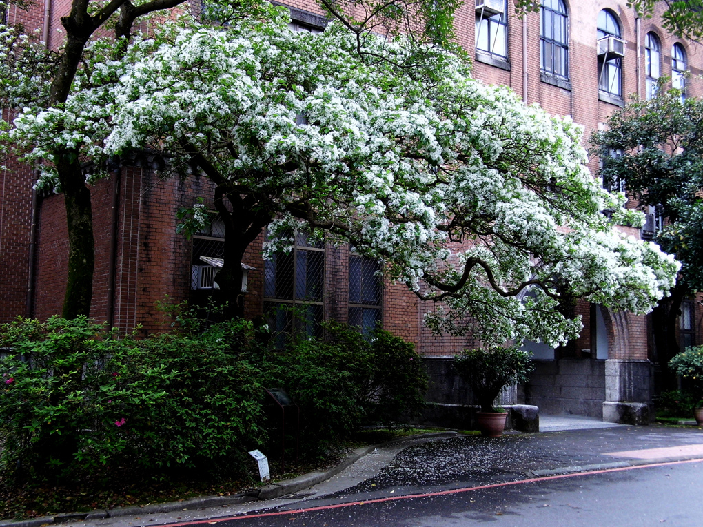 DSCI6692_1.jpg DSCI6692_1.jpg