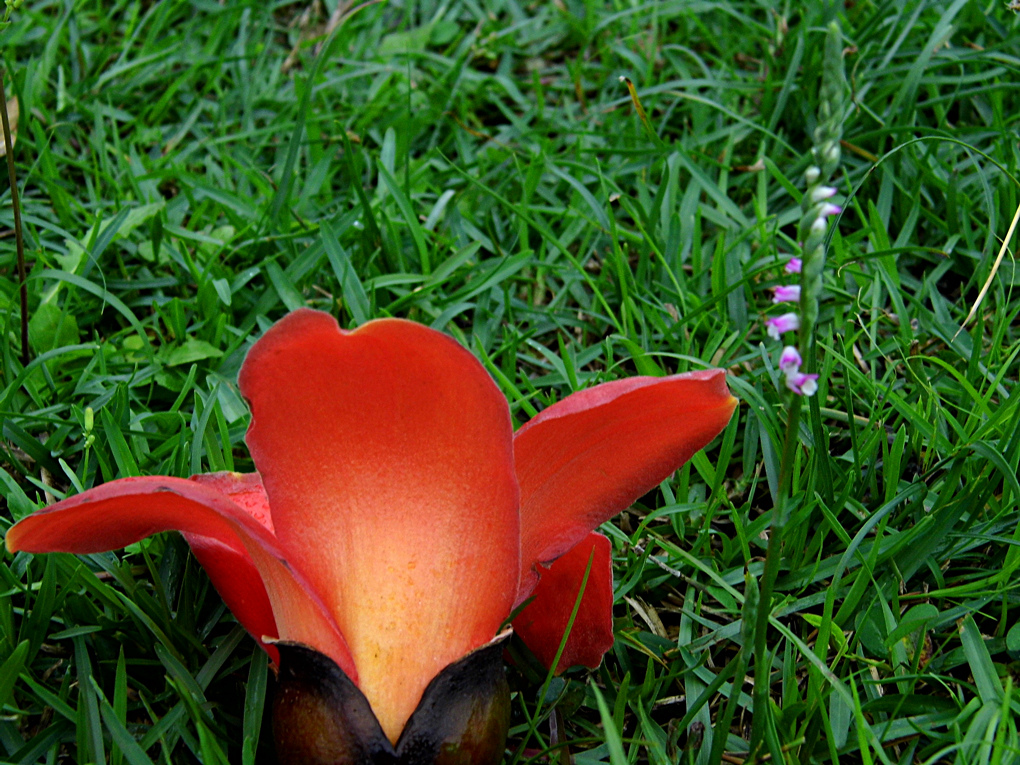 DSCI6937_1.jpg DSCI6937_1.jpg