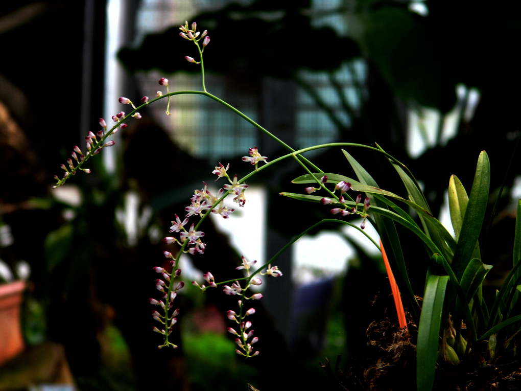 DSCI7968_1.jpg DSCI7968_1.jpg