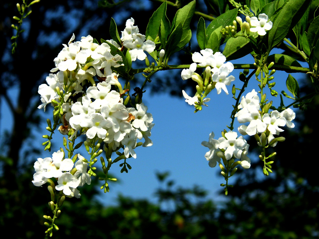 DSCI8952_1.jpg DSCI8952_1.jpg
