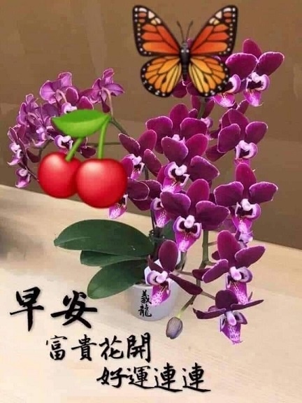 插花5.jpg 插花5.jpg