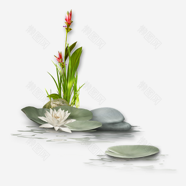 蓮花19.jpg 蓮花19.jpg