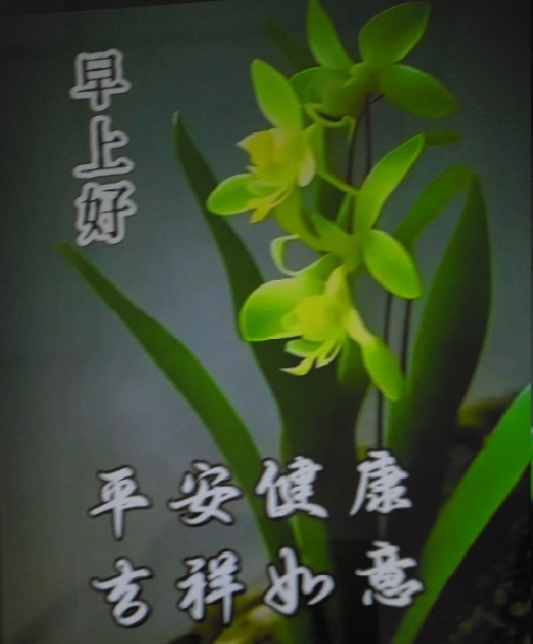 【參加研究班的好處】