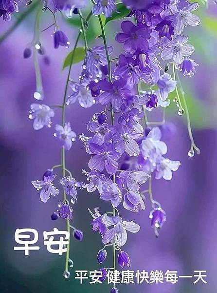 善歌多首2(仙佛著作)