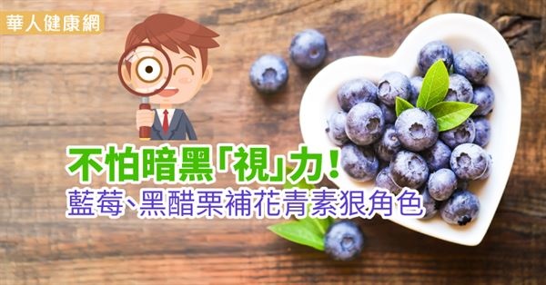 趙順榮藥師 花青素護眼可對抗暗黑視力 趙藥師的部落格 痞客邦
