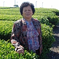 婆婆