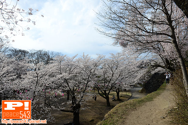 DSC_7858 DSC_7858