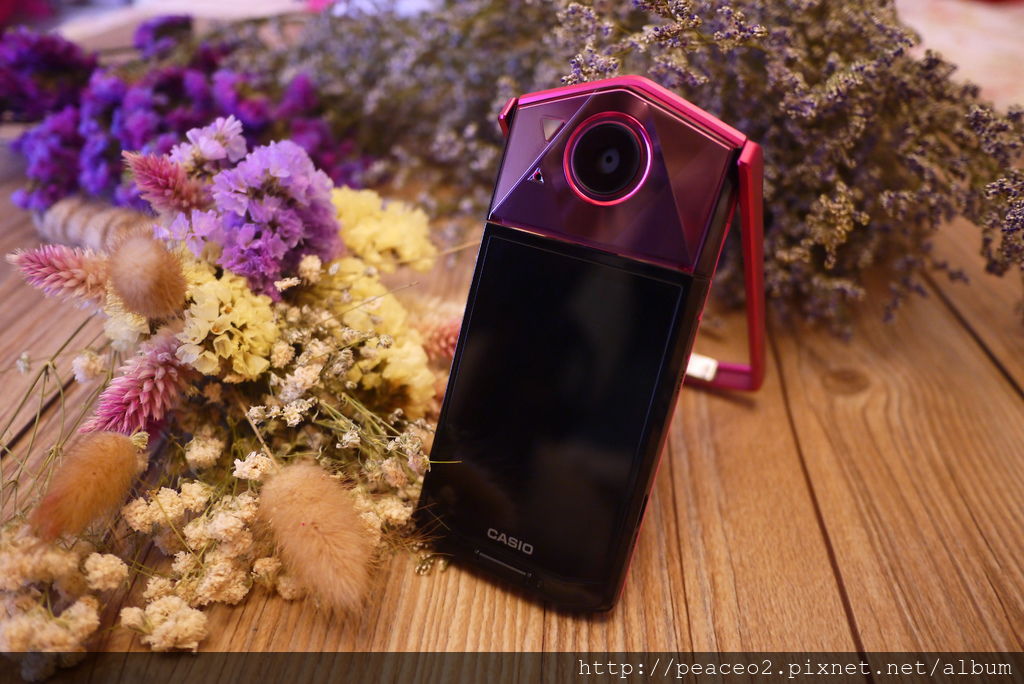 P1040653.JPG P1040653.JPG