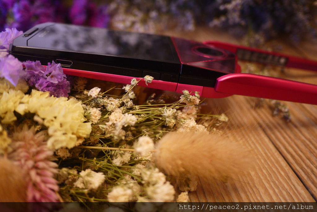 P1040668.JPG P1040668.JPG