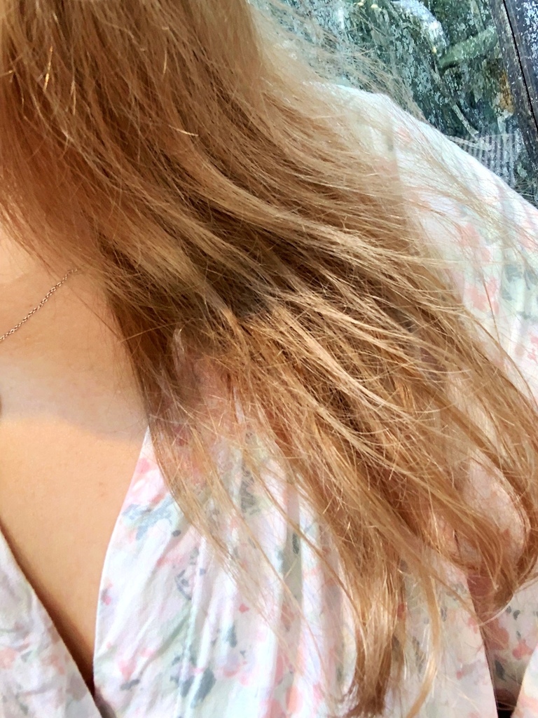 S__28311586.jpg S__28311586.jpg