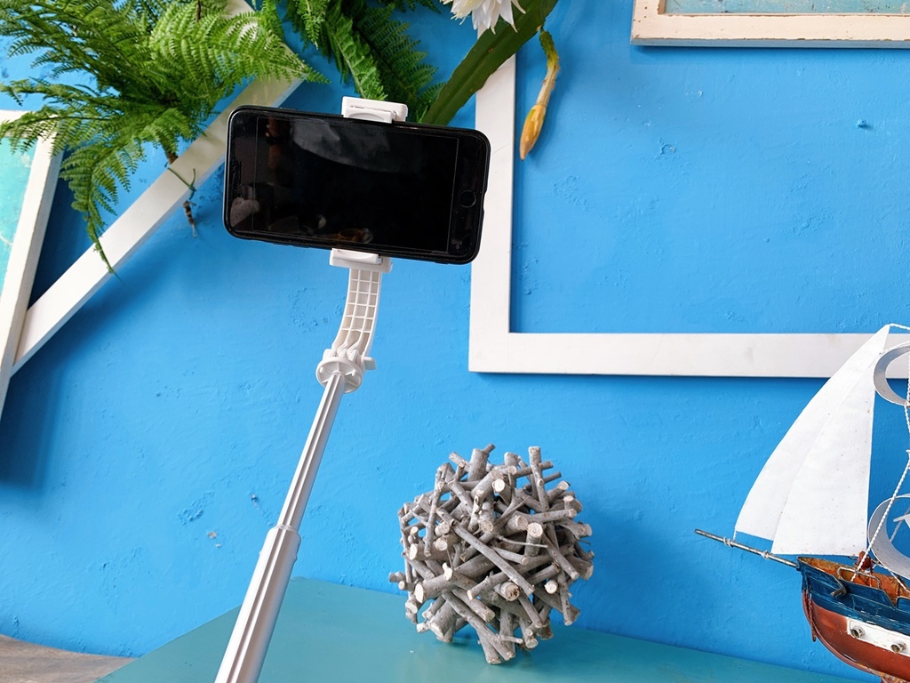 S__34349189.jpg S__34349189.jpg