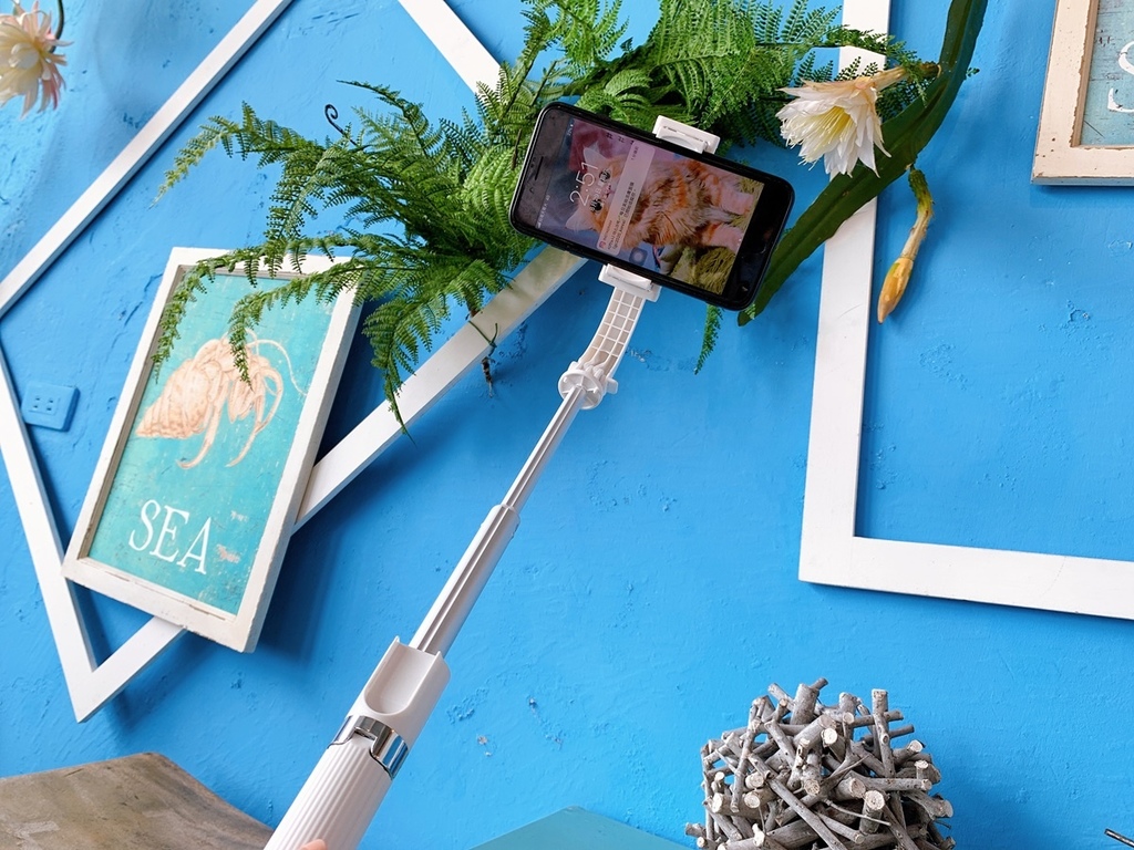 S__34349191.jpg S__34349191.jpg