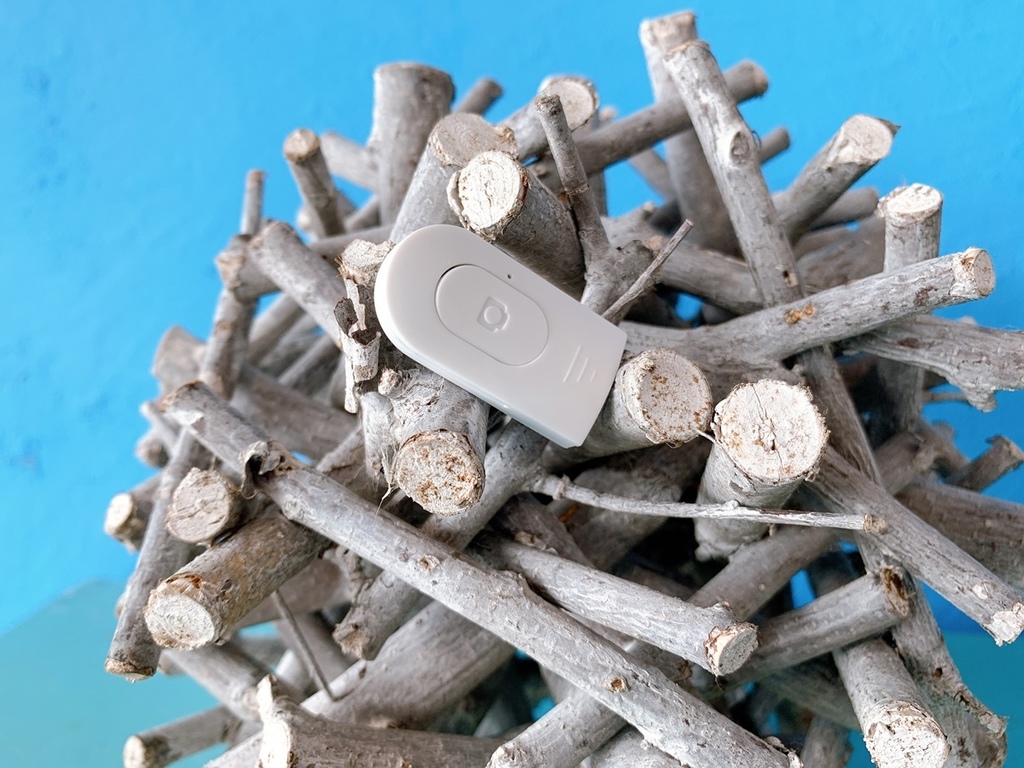 S__34349198.jpg S__34349198.jpg