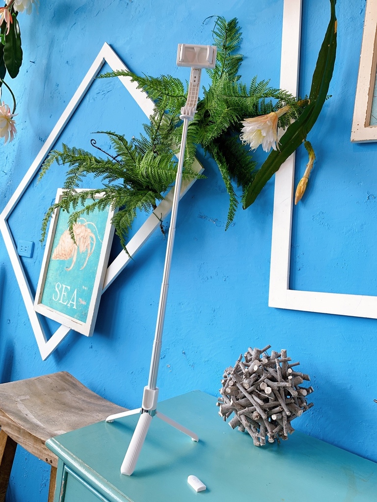 S__34349208.jpg S__34349208.jpg