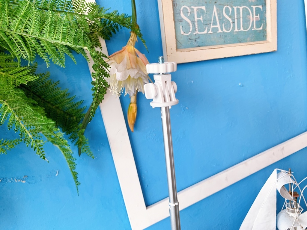 S__34349218.jpg S__34349218.jpg