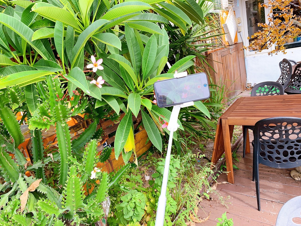 S__34373641.jpg S__34373641.jpg