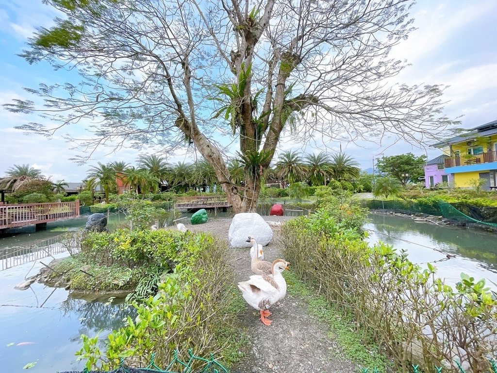 S__2277440.jpg S__2277440.jpg