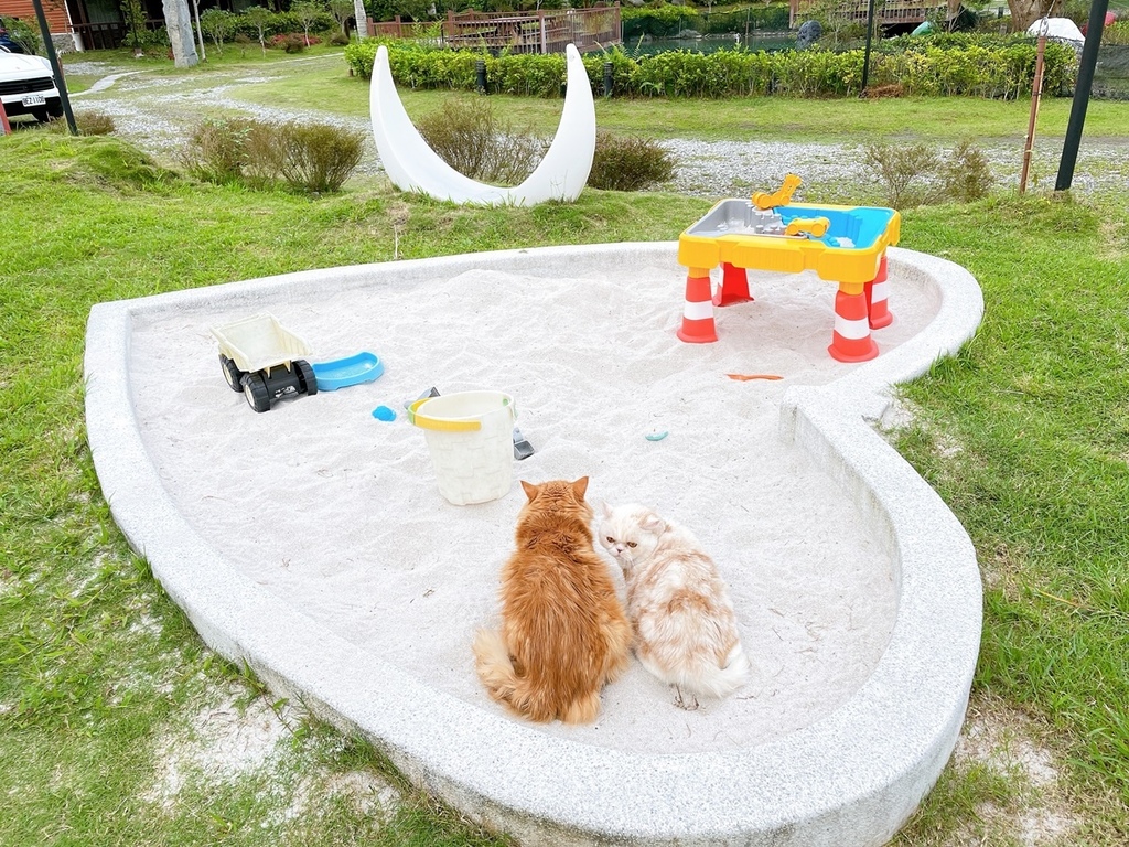 S__2277444.jpg S__2277444.jpg