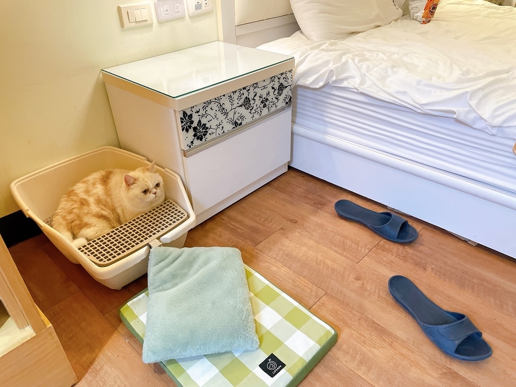 S__2277467.jpg S__2277467.jpg