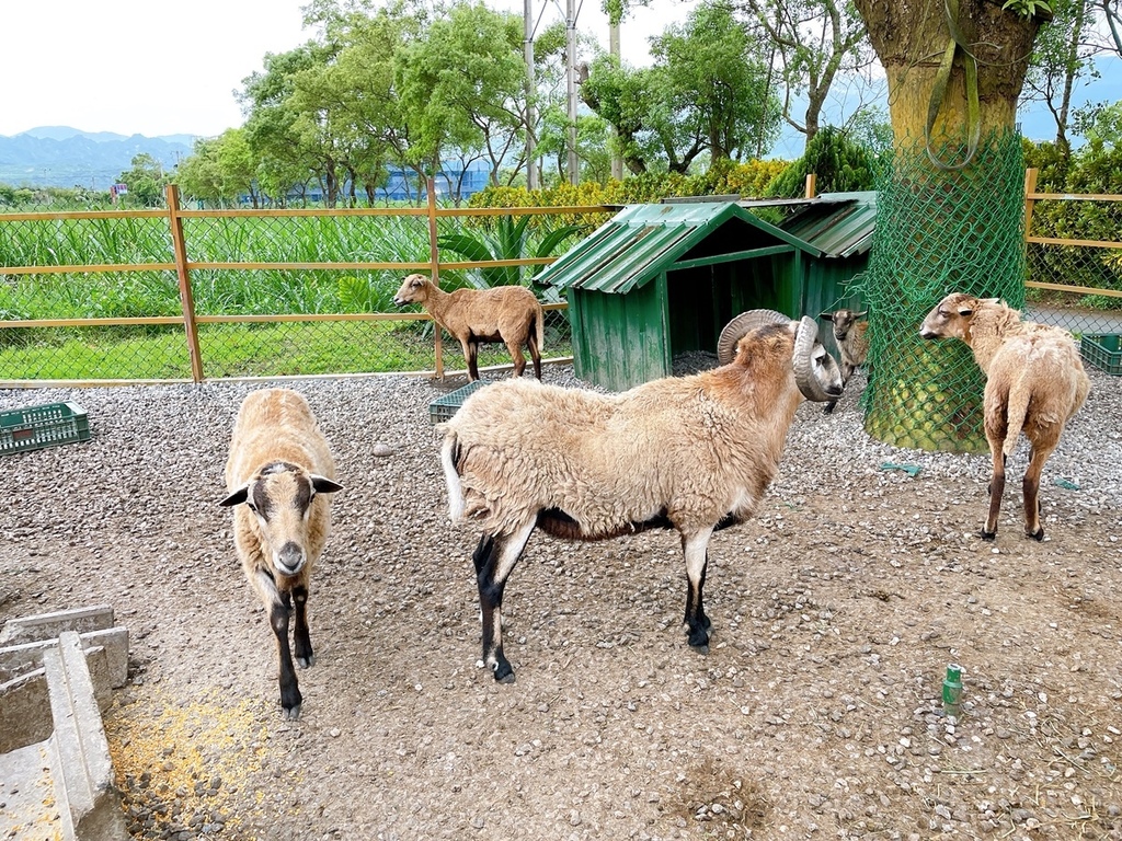 S__2277460.jpg S__2277460.jpg