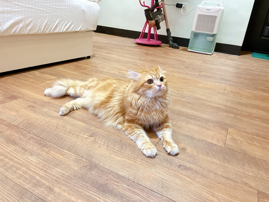 S__2277468.jpg S__2277468.jpg