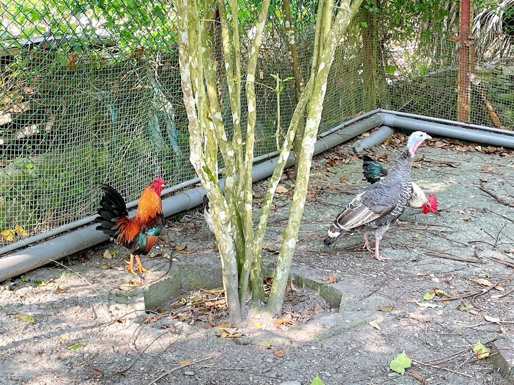 S__2277499.jpg S__2277499.jpg