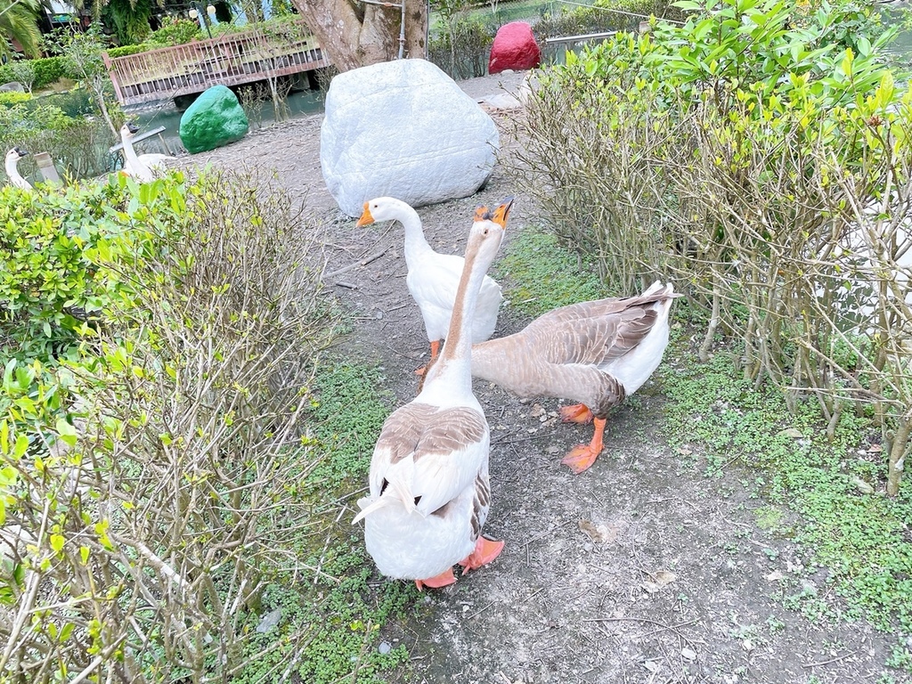 S__2277435.jpg S__2277435.jpg