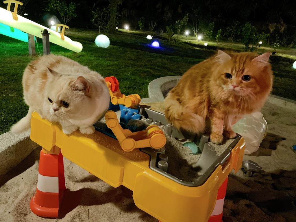 S__2277482.jpg S__2277482.jpg