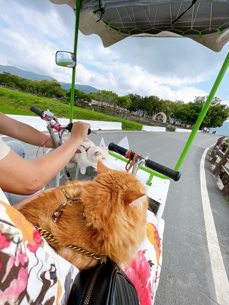 S__2277511.jpg S__2277511.jpg