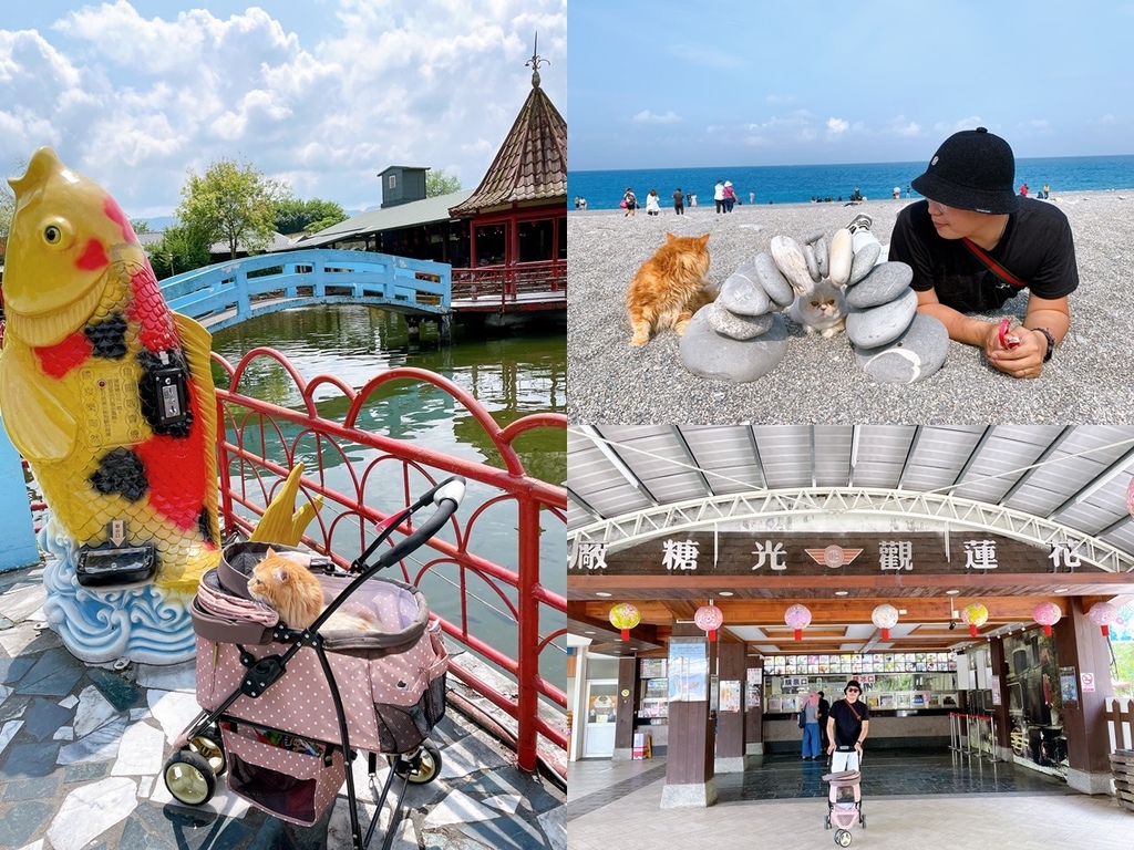 cats+++.jpg cats+++.jpg