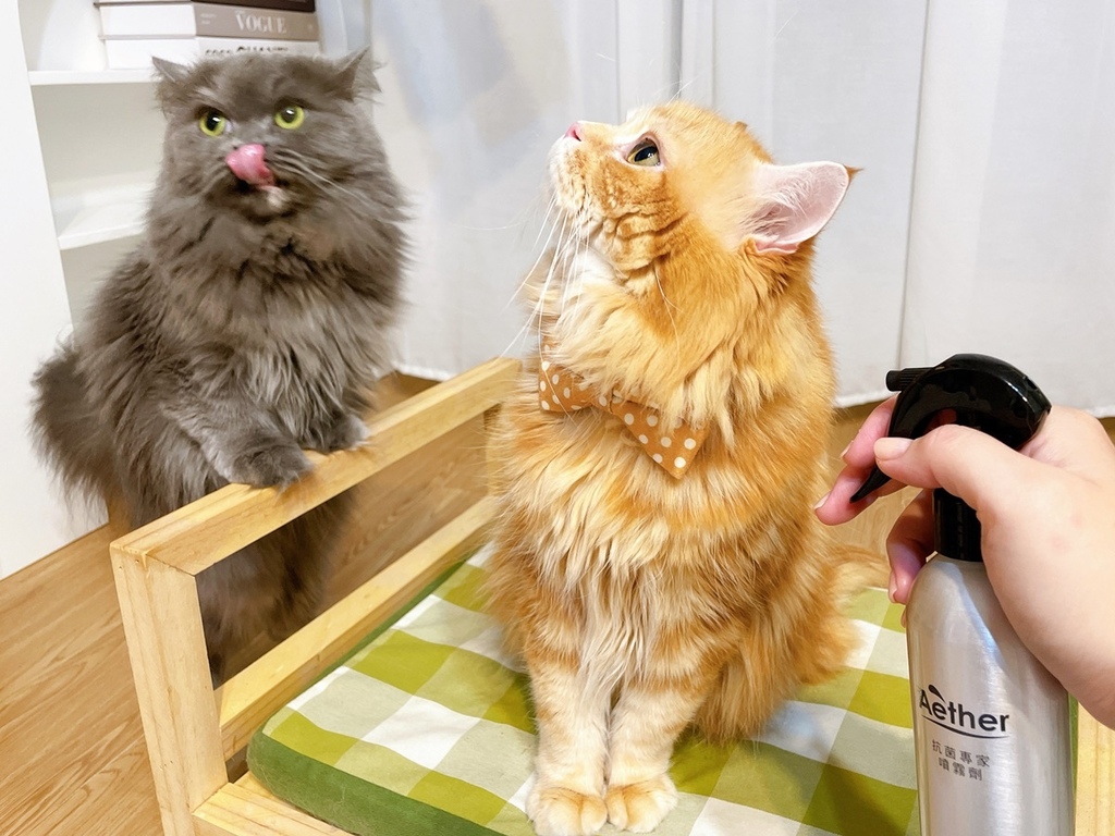 S__1040419.jpg S__1040419.jpg