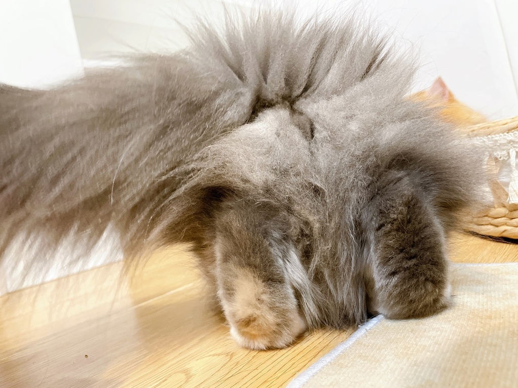 S__1040414.jpg S__1040414.jpg