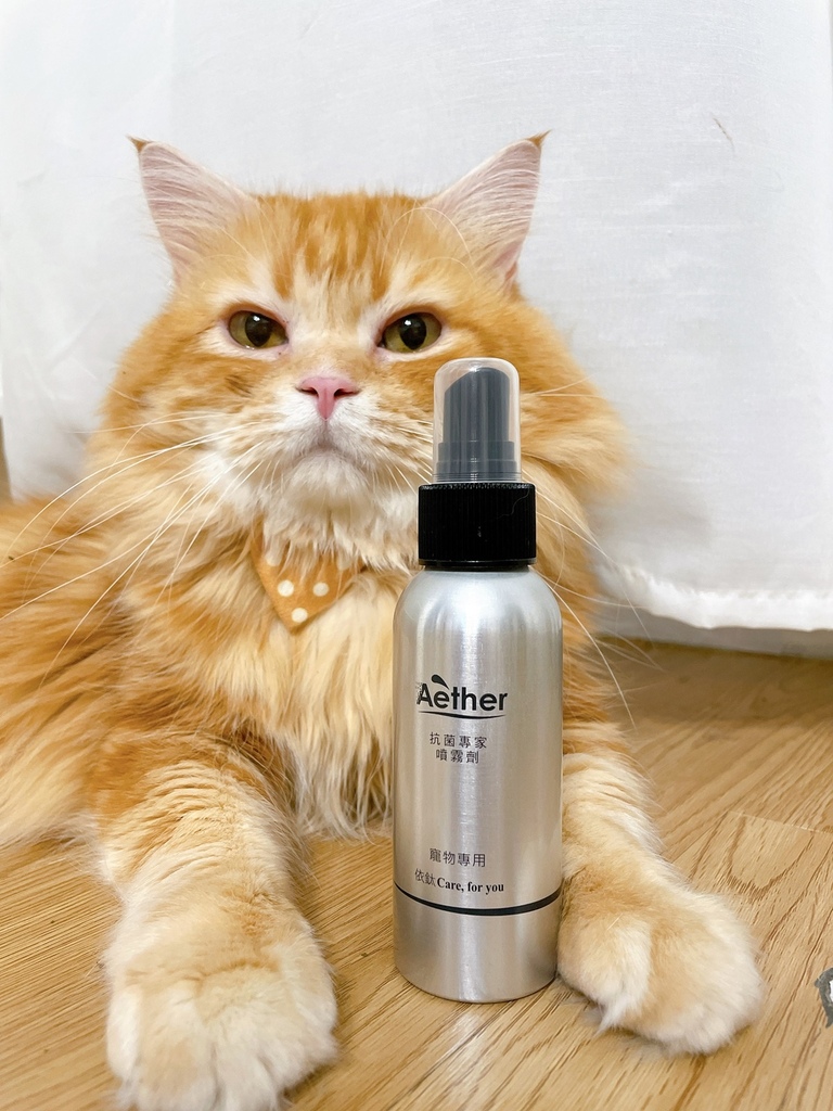 S__1040412.jpg S__1040412.jpg