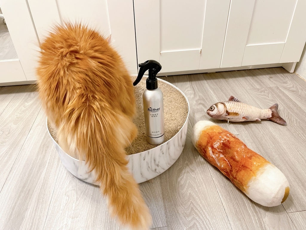 S__1040403.jpg S__1040403.jpg