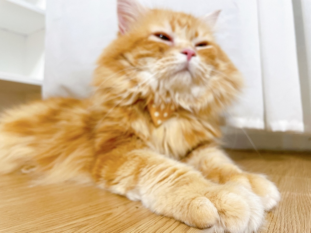 S__1040411.jpg S__1040411.jpg