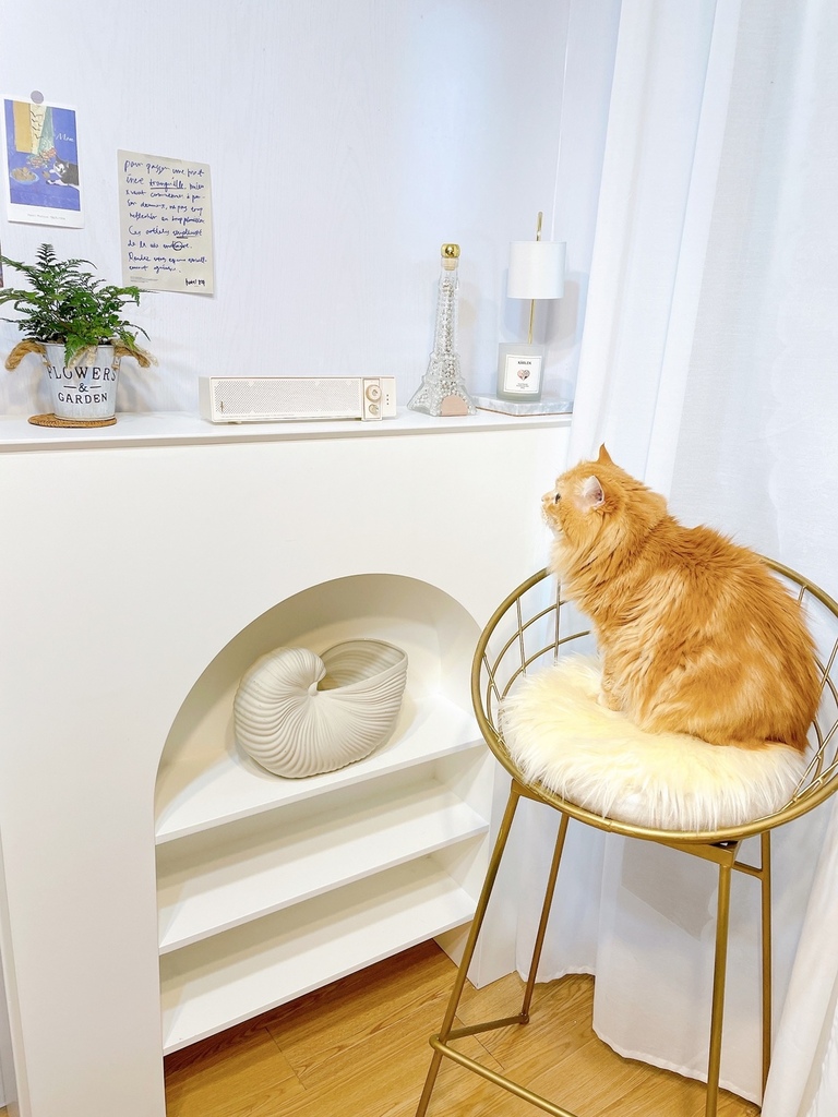 S__6430728.jpg S__6430728.jpg