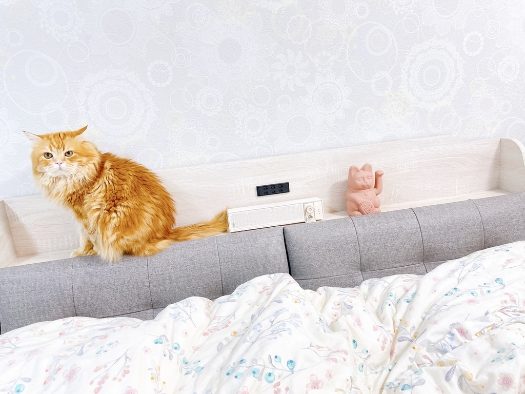 S__6430725.jpg S__6430725.jpg