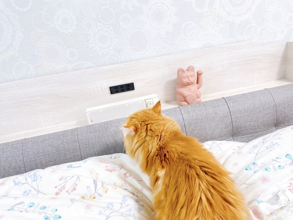 S__6430724.jpg S__6430724.jpg