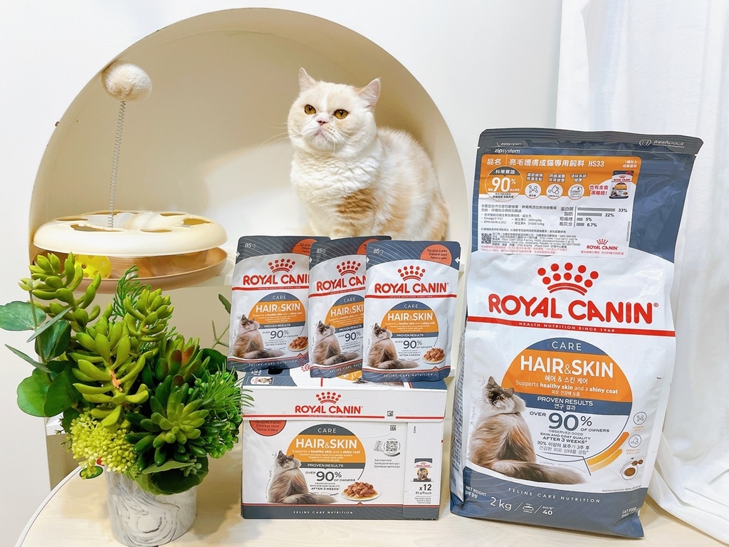 [寵物] ROYAL CANIN 法國皇家 ♥ 亮毛護膚成貓