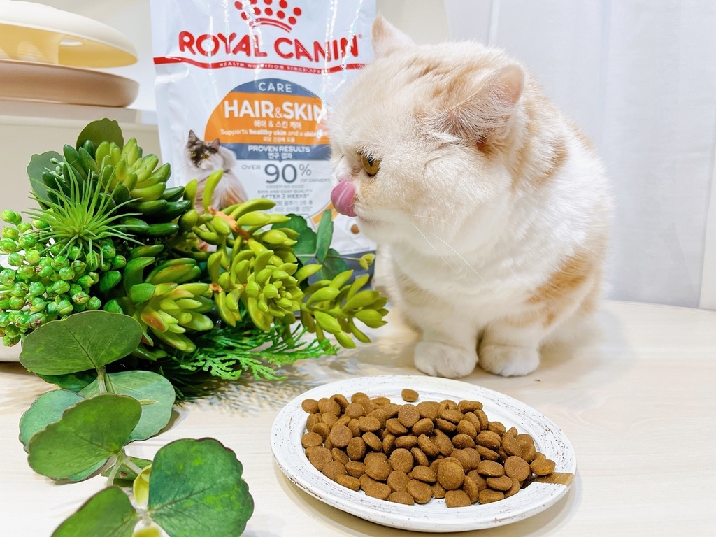 [寵物] ROYAL CANIN 法國皇家 ♥ 亮毛護膚成貓