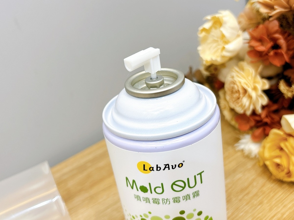 LabAvo MoldOUT噴噴霉防霉噴霧 (8).JPG